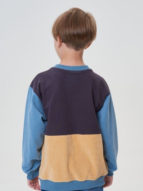 Фото3: картинка 38.115 Джемпер-СВИТШОТ комбинированный Choupette - одевайте детей красиво!