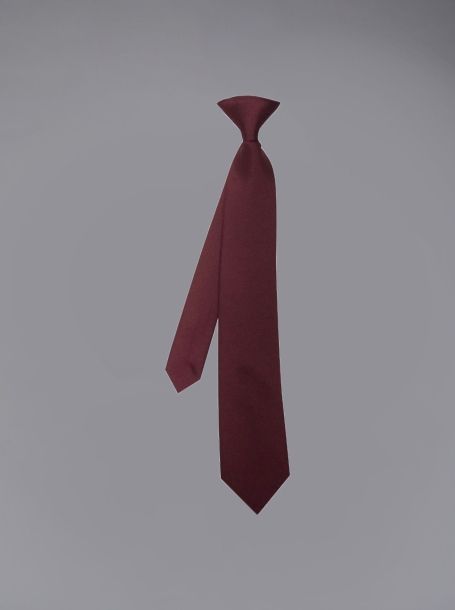 Фото1: 61.1.31 Детский галстук для мальчика 
