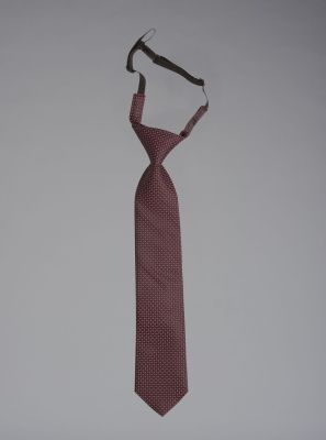 Фото1: Школьный галстук для мальчика
