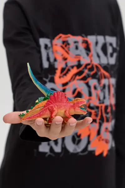 Лонгслив с принтом — изображение 8