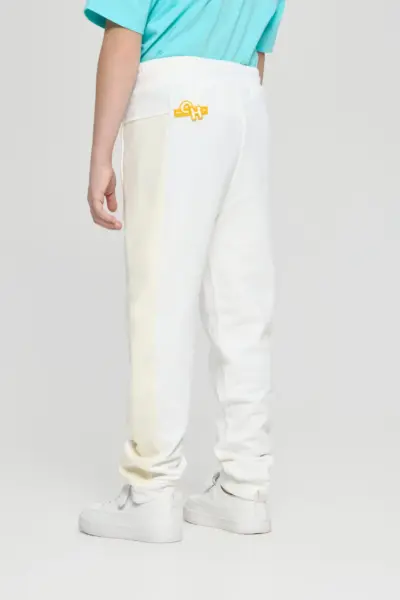 Брюки с лампасами — изображение 3