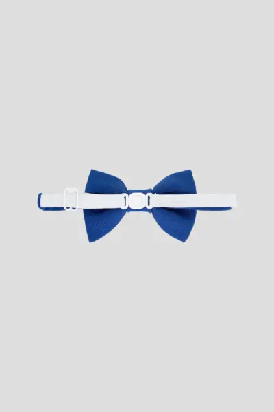 Галстук-бабочка — изображение 3