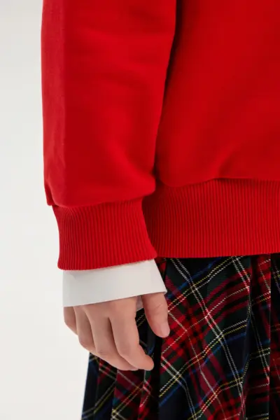 Свитшот — изображение 10