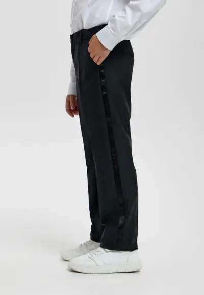 Брюки с лампасами — изображение 3