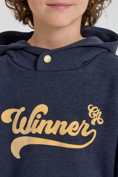 Худи — изображение 12